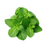 Mint Packet - BalmoralOnline - Fruit & Vegetables