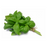 Basil Herbs 100g - BalmoralOnline - Fruit & Vegetables